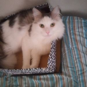 Meet your Posher, Nicole